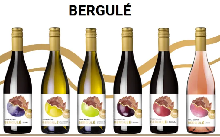 Начало bergule1